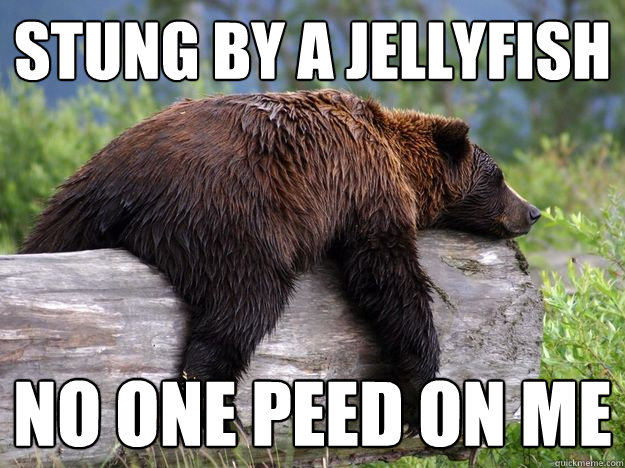 Stung by a jellyfish no one peed on me - Stung by a jellyfish no one peed on me  Bad News Bear