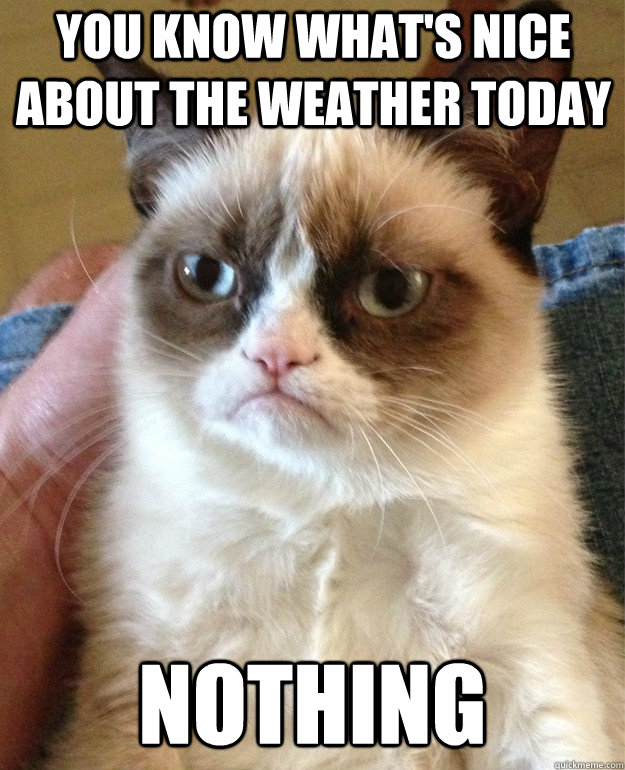 you know what's nice about the weather today nothing - you know what's nice about the weather today nothing  Grumpy Cat