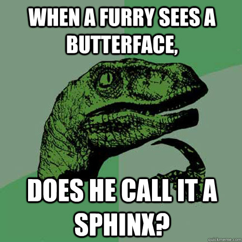 When a furry sees a butterface, does he call it a sphinx? - When a furry sees a butterface, does he call it a sphinx?  Philosoraptor