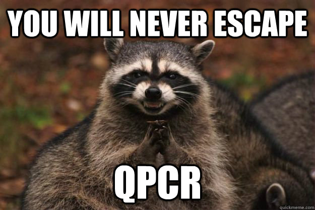 you will never escape  qpcr  Evil Plotting Raccoon