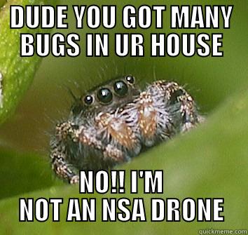 DUDE YOU GOT MANY BUGS IN UR HOUSE NO!! I'M NOT AN NSA DRONE Misunderstood Spider