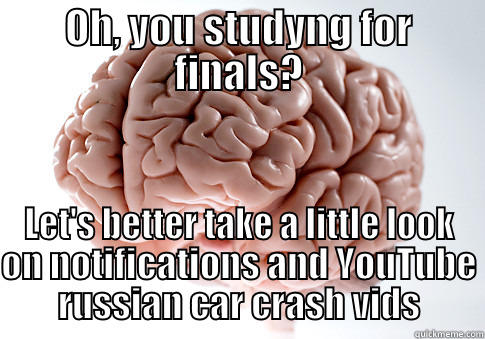 Well... it might not be the right time - OH, YOU STUDYNG FOR FINALS? LET'S BETTER TAKE A LITTLE LOOK ON NOTIFICATIONS AND YOUTUBE RUSSIAN CAR CRASH VIDS Scumbag Brain