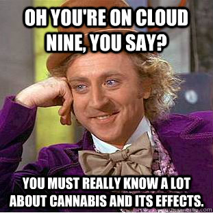 Oh you're on cloud nine, you say? You must really know a lot about cannabis and its effects.  - Oh you're on cloud nine, you say? You must really know a lot about cannabis and its effects.   Condescending Wonka