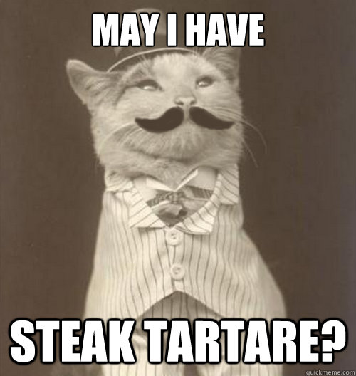 May I have Steak Tartare?   Original Business Cat