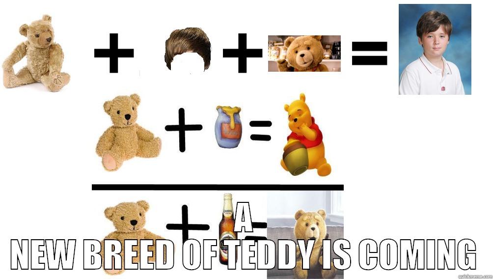 TEDDY MAN -  A NEW BREED OF TEDDY IS COMING Misc