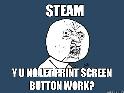 STEAM Y U NO LET PRINT SCREEN BUTTON WORK? - STEAM Y U NO LET PRINT SCREEN BUTTON WORK?  Y U No