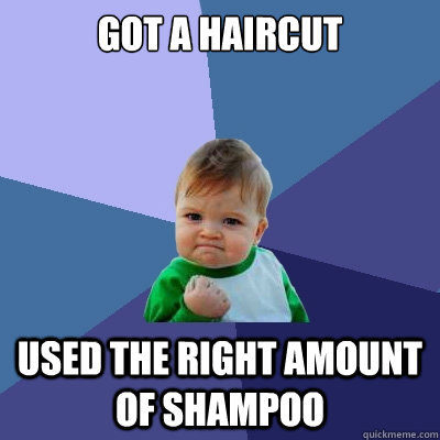 got a haircut used the right amount of shampoo  Success Kid