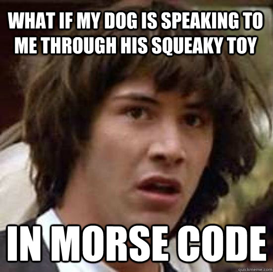 What if my dog is speaking to me through his squeaky toy in morse code  conspiracy keanu