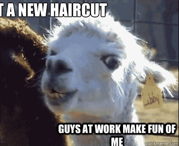 Get a new haircut guys at work make fun of me  Disapproving Llama