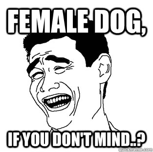 female dog, if you don't mind..?  Meme