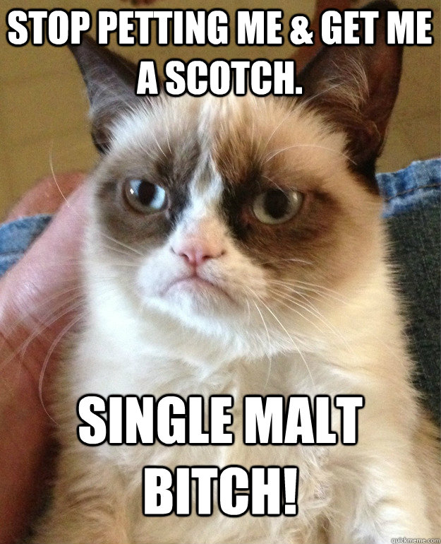 Stop petting me & get me a scotch. Single malt bitch!  Grumpy Cat