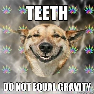 TEETH Do not equal gravity  Stoner Dog