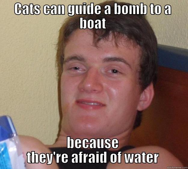   - CATS CAN GUIDE A BOMB TO A BOAT BECAUSE THEY'RE AFRAID OF WATER 10 Guy