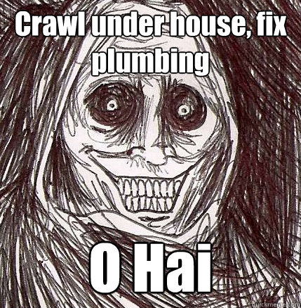 Crawl under house, fix plumbing O Hai  Horrifying Houseguest