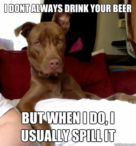 i dont always drink your beer but when i do, i usually spill it  