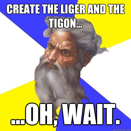 Create the liger and the tigon... ...oh, wait.  Advice God