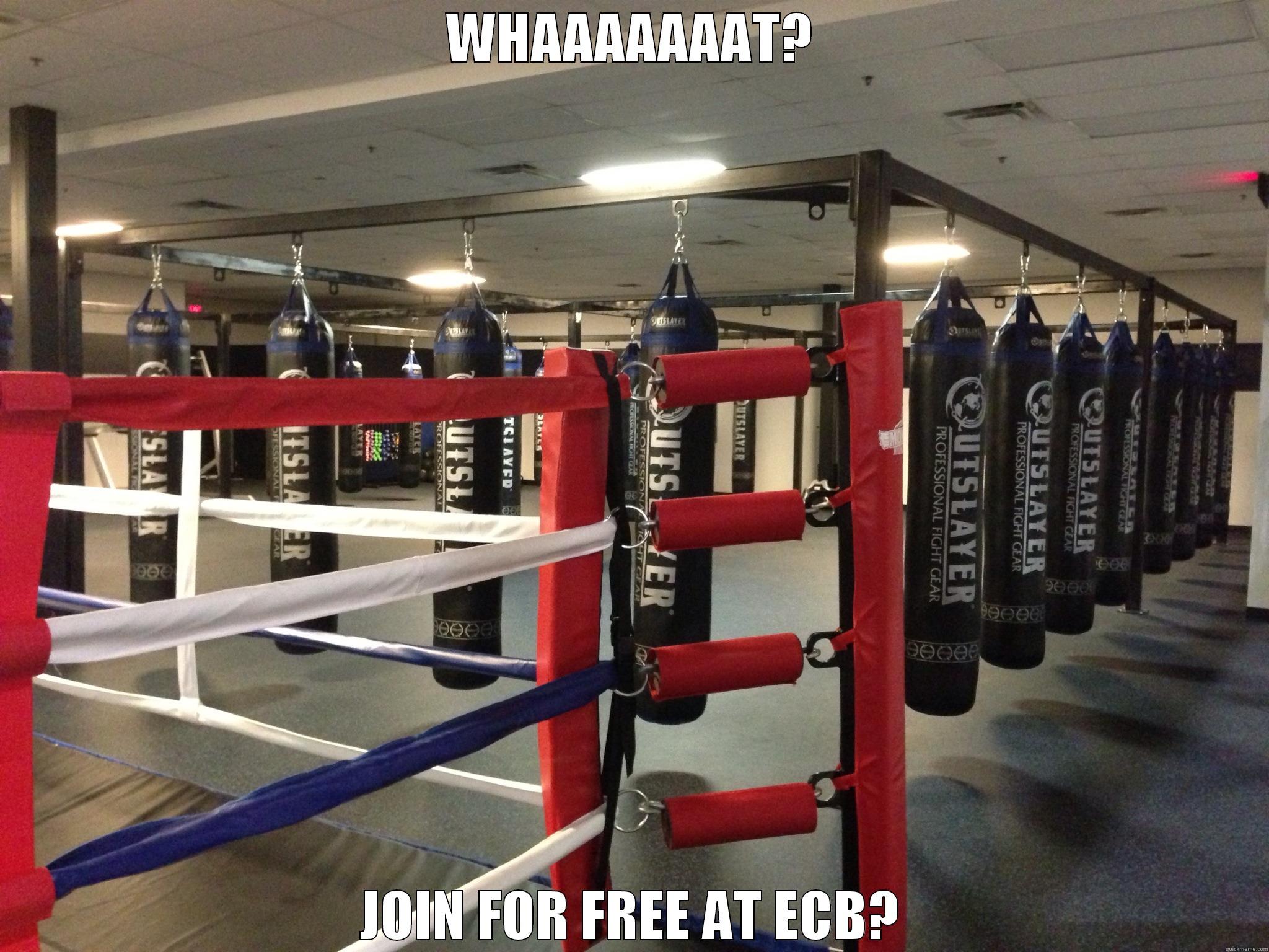 ECB MEME - WHAAAAAAAT? JOIN FOR FREE AT ECB? Misc