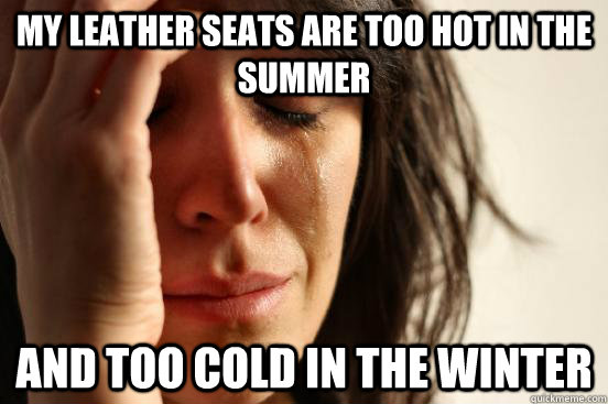 My leather seats are too hot in the summer and too cold in the winter  First World Problems