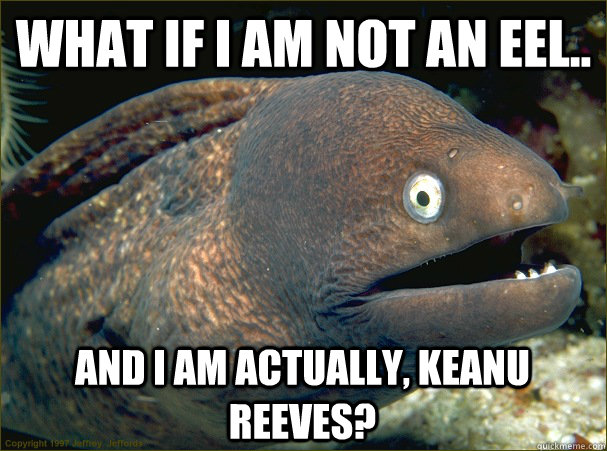 What if I am not an eel.. and I am actually, Keanu Reeves? - What if I am not an eel.. and I am actually, Keanu Reeves?  Bad Joke Eel