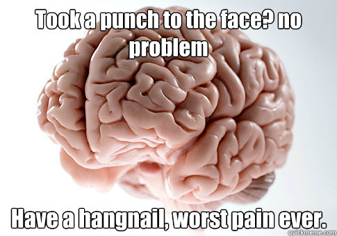 Took a punch to the face? no problem Have a hangnail, worst pain ever.  Scumbag Brain