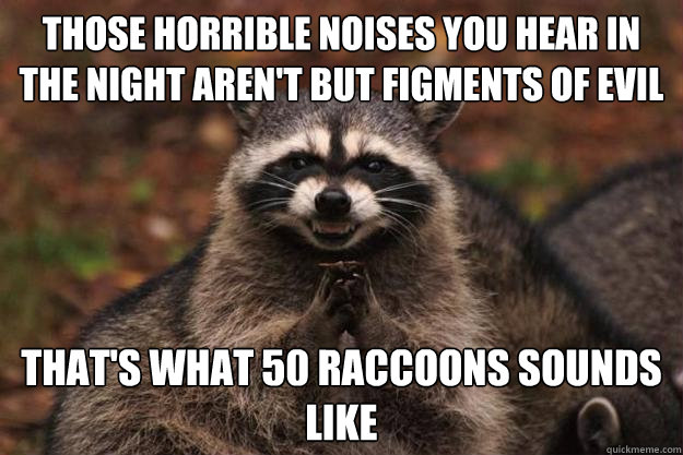 those horrible noises you hear in the night aren't but figments of evil that's what 50 raccoons sounds like - those horrible noises you hear in the night aren't but figments of evil that's what 50 raccoons sounds like  Evil Plotting Raccoon