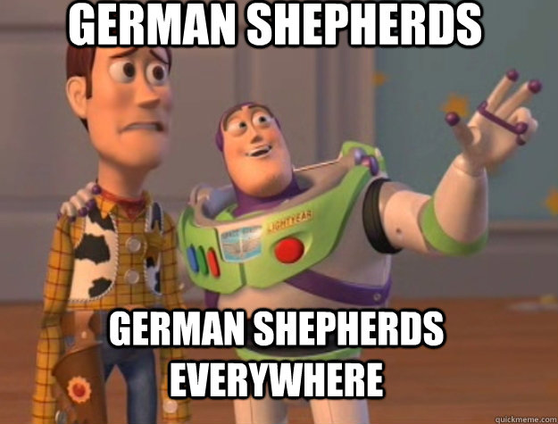 german shepherds german shepherds everywhere  Buzz Lightyear