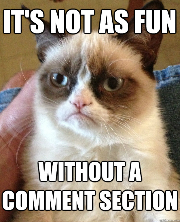 It's not as fun without a comment section  Grumpy Cat