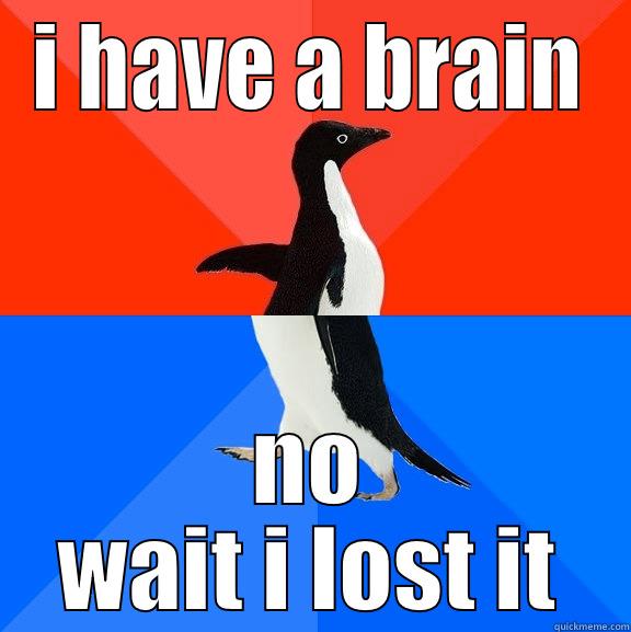 no brianer - I HAVE A BRAIN NO WAIT I LOST IT Socially Awesome Awkward Penguin