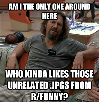 Am I the only one around here who kinda likes those unrelated .jpgs from r/funny?  The Dude