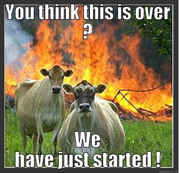 YOU THINK THIS IS OVER ? WE HAVE JUST STARTED ! Evil cows