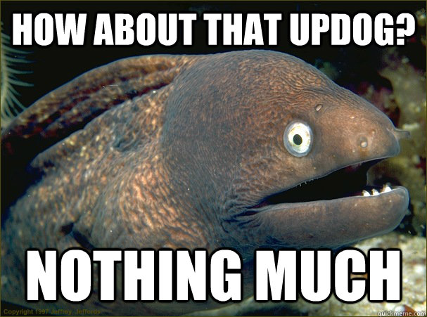 How about that Updog? nothing much  Bad Joke Eel