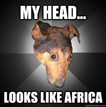 My head... looks like Africa  Depression Dog