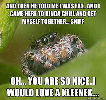 and then he told me I was fat.. and I came here to kinda chill and get myself together... sniff oh... you are so nice..I would love a kleenex.... - and then he told me I was fat.. and I came here to kinda chill and get myself together... sniff oh... you are so nice..I would love a kleenex....  Misunderstood Spider