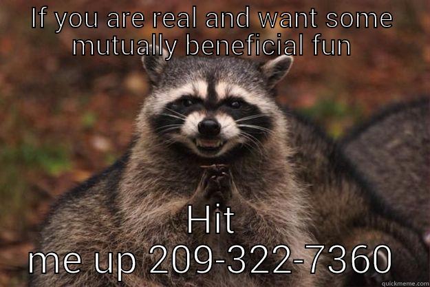 IF YOU ARE REAL AND WANT SOME MUTUALLY BENEFICIAL FUN HIT ME UP 209-322-7360 Evil Plotting Raccoon