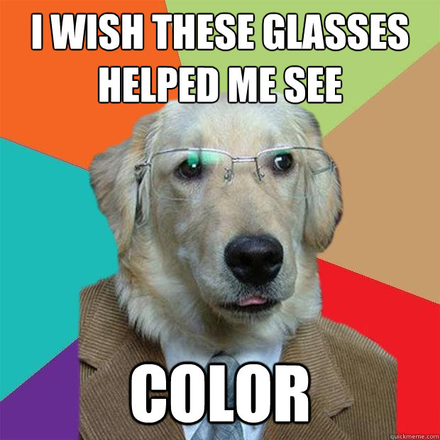 I wish these glasses helped me see color  Business Dog