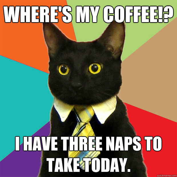 Where's my coffee!? I have three naps to take today.   Business Cat