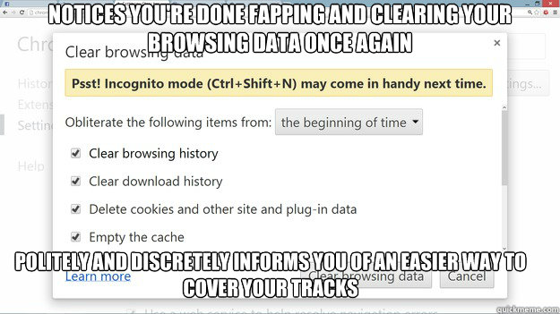 Notices you're done fapping and clearing your browsing data once again Politely and discretely informs you of an easier way to cover your tracks  - Notices you're done fapping and clearing your browsing data once again Politely and discretely informs you of an easier way to cover your tracks   Misc