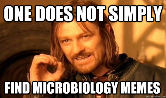 ONE DOES NOT SIMPLY FIND MICROBIOLOGY MEMES - ONE DOES NOT SIMPLY FIND MICROBIOLOGY MEMES  One Does Not Simply