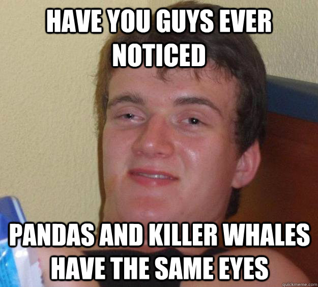 Have you guys ever noticed Pandas and killer whales have the same eyes  10 Guy