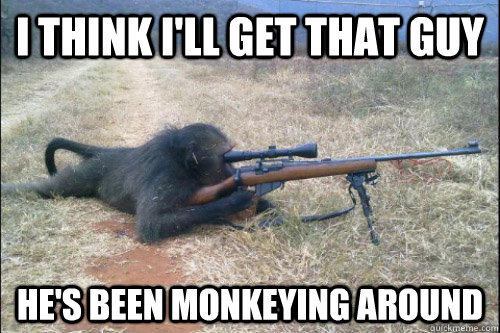 I think i'll get that guy he's been monkeying around  Sniper Ape