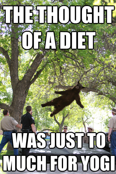 The thought of a diet Was just to much for Yogi  Boulder Bear