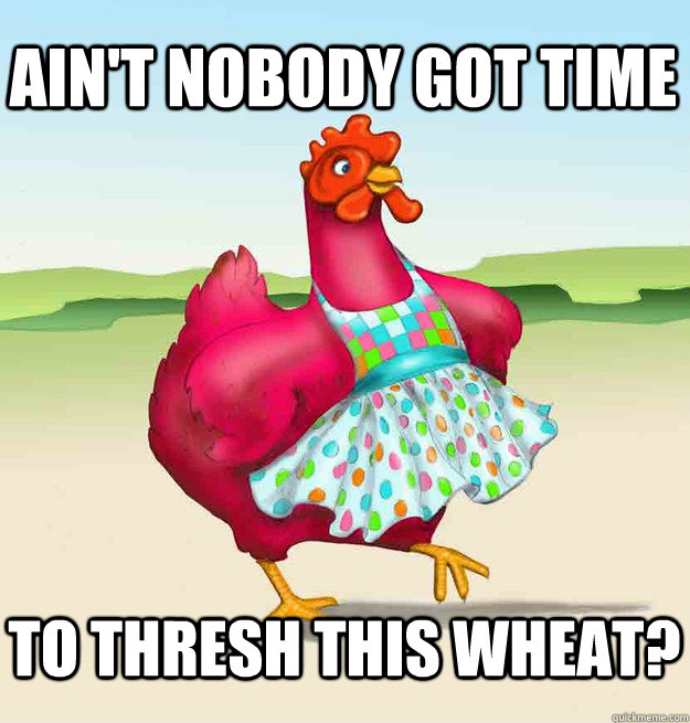 Ain't nobody got time to thresh this wheat? - Ain't nobody got time to thresh this wheat?  Persnickety Chicken