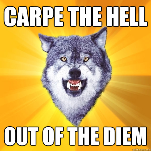 carpe the hell out of the diem  Courage Wolf