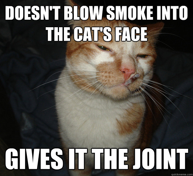 Doesn't blow smoke into the cat's face gives it the joint - Doesn't blow smoke into the cat's face gives it the joint  Cool Cat Craig