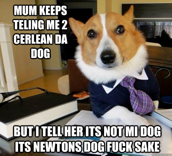 mum keeps teling me 2 cerlean da dog but i tell her its not mi dog its newtons dog fuck sake  Lawyer Dog