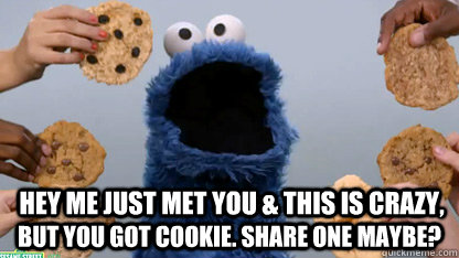 Hey me just met you & this is crazy, but you got cookie. Share one maybe? - Hey me just met you & this is crazy, but you got cookie. Share one maybe?  Misc
