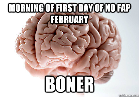 Morning of first day of no fap february boner  Scumbag Brain