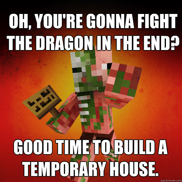 Oh, you're gonna fight the Dragon in the End? Good Time to build a Temporary House.  - Oh, you're gonna fight the Dragon in the End? Good Time to build a Temporary House.   Zombie Pigman Zisteau