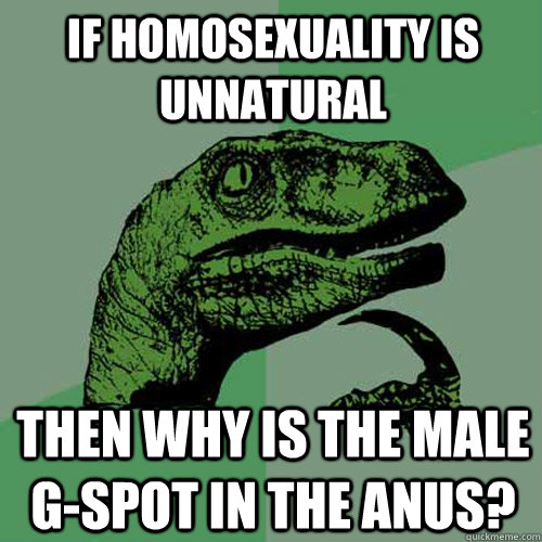 If homosexuality is unnatural Then why is the male g-spot in the anus? - If homosexuality is unnatural Then why is the male g-spot in the anus?  Philosoraptor