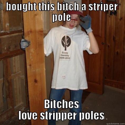 BOUGHT THIS BITCH A STRIPER POLE BITCHES LOVE STRIPPER POLES Misc